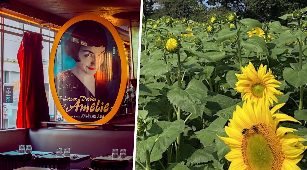 ART FIX: Sunflowers, Portuguese flavours and French films in the park