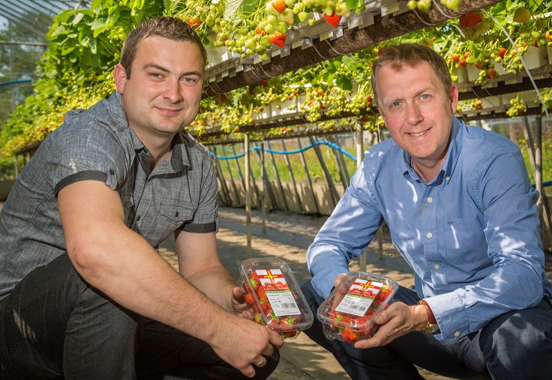 Boost for Guernsey growers thanks to The Channel Islands Co-operative Society