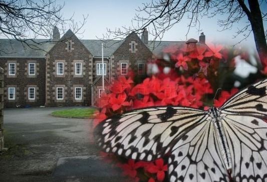 Memorial apology and minute's silence to remember childcare failures