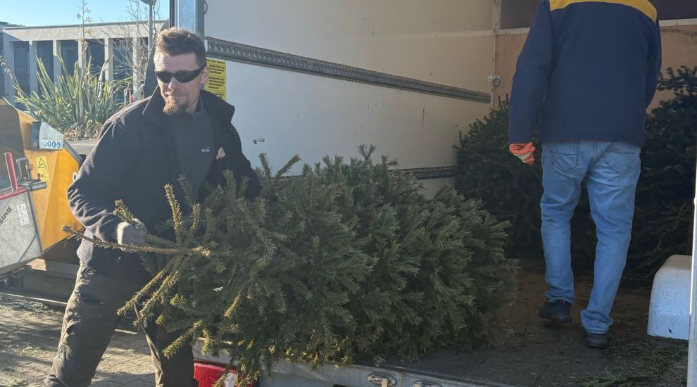 Christmas tree collection scheme raises over £45,000 for charity