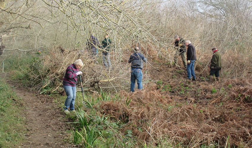 The Rotary Club of Jersey offers hands-on assistance to an environmental restoration project in St Ouen’s Bay