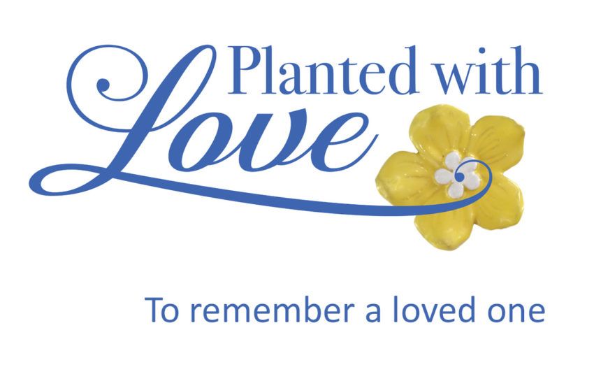 Say it with flowers: Jersey Hospice launches new campaign