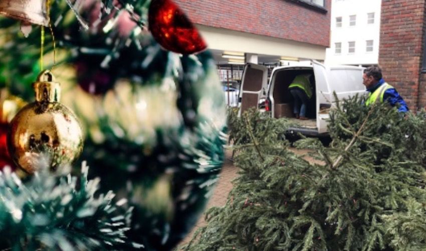 Christmas scheme tree-liminates over 2,000 car journeys