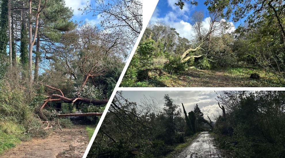 Railway Walk restored one year after Storm Ciarán's devastation