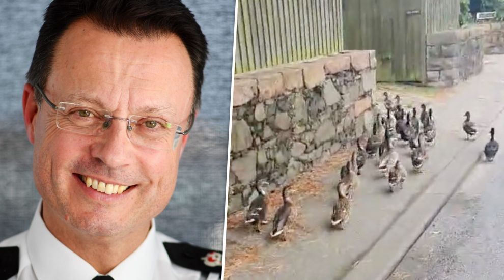 WATCH: Double-take for ducks as top cops show their herding skills