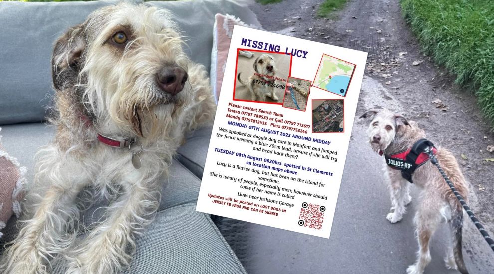 She's back! Five-day search for missing Lucy reaches happy ending
