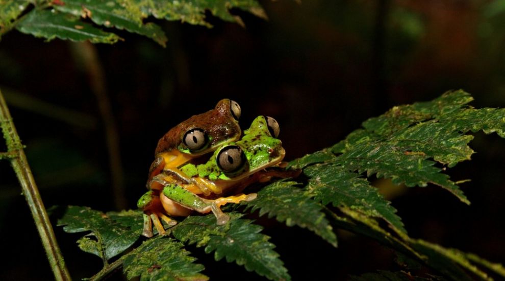 15 stunning pictures from the Engineering and Physical Sciences competition you need to see