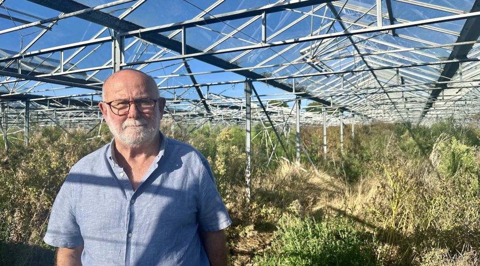 Ex-farmer slams greenhouse development rules amid 