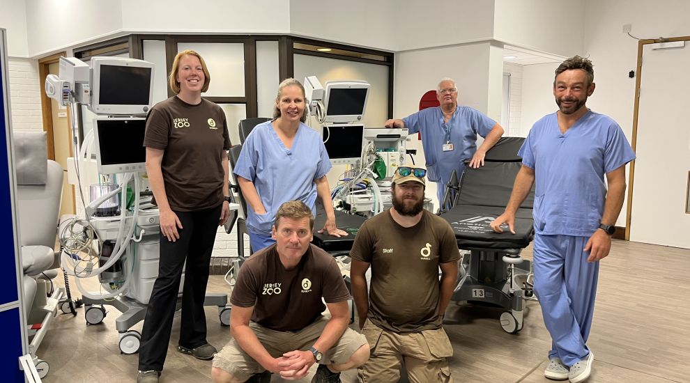 Hospital medical equipment donated to Jersey Zoo