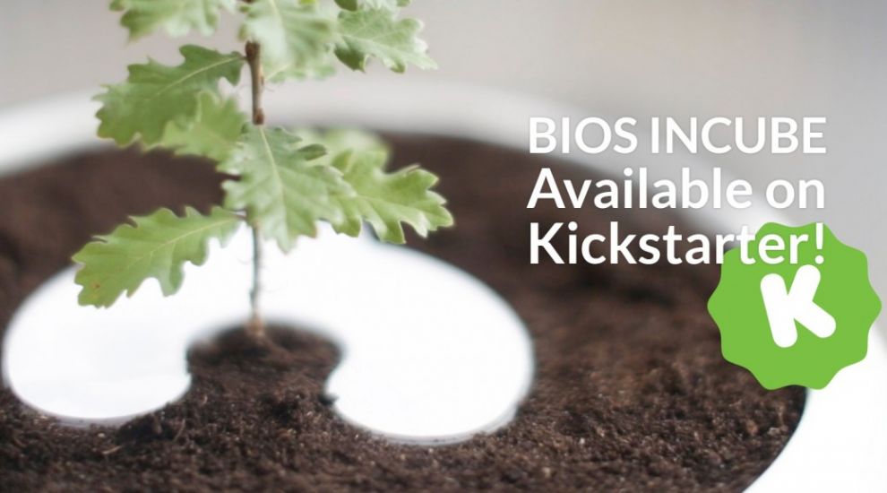 This biodegradable urn will turn you into a tree when you die