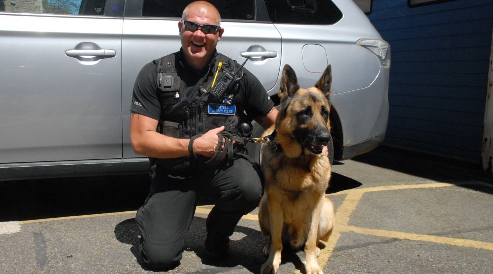 Officers pay tribute as retired police dog Achilles passes away