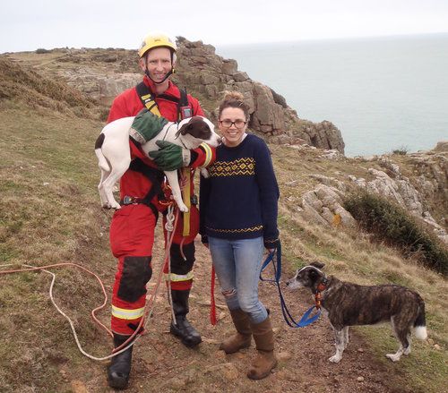 Firefighters rescue dog after 50 metre cliff fall